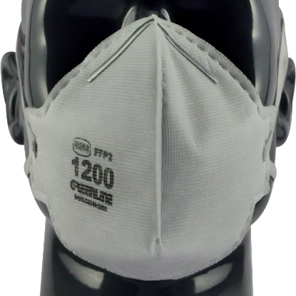 Picture of FFP2 Mask